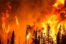 Espaa registra un 40% ms de incendios extremos de sexta generacin y sufre fuegos capaces de arrasar 1 milln de hectreas