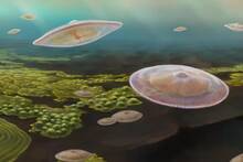 Un matemático confirma la razón por la vida no debería existir: las probabilidades eran casi cero y necesitó más que química