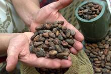 Ni el caf ni los huevos: el consumo de este alimento esencial en Espaa enfrenta su mayor crisis y el precio se dispara