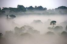 Científicos descubren un nuevo clima que amenaza con desestabilizar la Tierra: 'Aumentan la mortalidad en un 55 %'