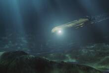 Biólogos encuentran bajo el mar el animal más viejo del mundo: más de 500 años que acabaron por un descuido de un científico