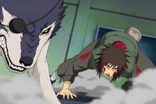 Masashi Kishimoto (51) sobre un posible spinoff de 'Naruto' y su nuevo protagonista: 'Me gustar�a una historia solo con perros'