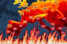 Los cient�ficos alertan: el Mediterr�neo est� agonizando por la contaminaci�n y el cambio clim�tico