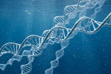 El ADN confirma que organismos del fondo marino han cruzado oc�anos durante 100 millones de a�os por una 'supercarretera' oculta