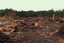 Europa tala miles de �rboles y, tras vaciar el mayor sumidero de CO2 del planeta, lo inunda para frenar el cambio clim�tico