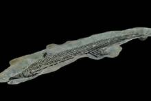 Arqueólogos en Egipto localizan un 'palacio flotante' romano de hace 2.000 años en el puerto de Alejandría