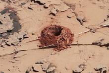 Es oficial: La NASA encuentran una roca marciana de hace 3.700 millones de años con compuestos que apuntan a un origen biológico