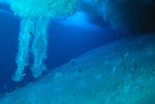 Crece la preocupación entre los científicos por lo que sucede bajo el hielo en Groenlandia: 'Es totalmente fascinante'