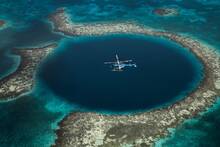 Cient�ficos hallan a 4.000 metros de profundidad m�s de 100 especies desconocidas que podr�an desaparecer por la miner�a