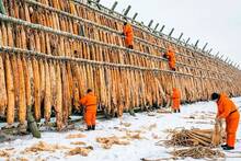 La basura agr�cola ya es el nuevo oro: 1000 millones de toneladas de restos son ahora energ�a o ropa eco y cambian la industria