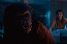 Si te gust� Primate, los creadores de Tiger King estrenan en HBO un documental sobre el peligro de estos animales en cautividad