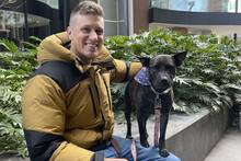 Un informático australiano cambia las normas: diseña una 'cura' para el cáncer de su perra con ChatGPT, Google Deepmind y Grok