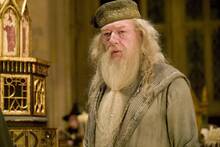 La serie de Harry Potter de HBO casi pierde a su Dumbledore por culpa de J. K. Rowling: 'La gente insisti� en que lo dejara'