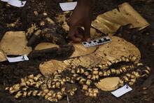 Arque�logos at�nitos encuentran una tumba de hace 1.000 a�os en Panam� llena de oro anterior a la conquista espa�ola