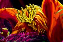 Llega al streaming la pel�cula perfecta para conocer al nuevo personaje de 'One Piece' en Netflix: 56 minutos de pura fantas�a