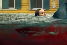 Llega a Netflix la película con tiburones número 1 en 90 países y que Stephen King ama: dura 85 minutos y tiene la frase de 2026