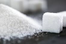 Cient�ficos franceses descubren que un sensor cerebral del az�car influye en la consolidaci�n de la memoria