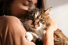 Los veterinarios coinciden: tener un gato en casa reduce hasta un 30% la probabilidad de sufrir un infarto