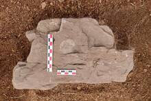 Arque�logos encuentran una moneda del siglo XVI y resuelven el misterio de una colonia espa�ola que desapareci� en Chile