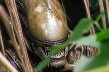 Disney+ prepara el regreso de su mayor �xito en la ciencia ficci�n y el terror: su creador confirma que tienen tramas para a�os