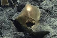 Estados Unidos resuelve el misterio de la esfera dorada que apareci� en el fondo del mar de Alaska a m�s de 3.000 metros
