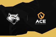 Wygers entra en la ACE, la Asociaci�n de Clubes de Esports