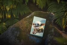 Seagate lanza tres discos duros externos de Star Wars