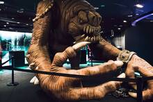 Madrid acoge una de las mayores colecciones de Star Wars del mundo: m�s de 600 objetos con naves, cascos y figuras a tama�o real