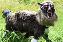 Japón desafía las normas: crea estos terroríficos 'lobos robots' para luchar contra los ataques de oso a lo largo de 2026