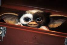 El montaje perdido de 'Gremlins' existe: dura m�s de dos horas y media y acaba de proyectarse en secreto