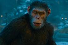 Ya es oficial: Disney expande 'El planeta de los simios' con un director de Marvel y prepara una nueva historia para la saga