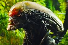 Ya es oficial: la serie de ciencia ficci�n y terror de m�s �xito en Disney+ confirma la noticia que todos los fans esperaban