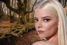 Confirmado por Warner: Anya Taylor-Joy llega a 'El Señor de los Anillos' con una elfa completamente nueva y hay un motivo