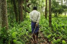 Un hombre plant� miles de �rboles durante 40 a�os: fren� un des�rtico banco de arena y cre� un 'bosque infinito' con animales