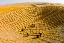China sufrió una gran hambruna hasta 1962: lo confió todo a la semilla Jingmai 189 y ahora lucha contra la sequía en el desierto