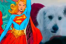 Si amas el Krypto del 'Superman' de James Gunn este es el cmic que leer antes de 'Supergirl': una obra maestra con corazn