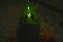 Warner confirma la pelcula ms esperada de Batman y ya est en camino tres aos despus : 'La espera merecer la pena'