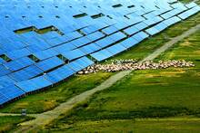 China plant� 6 millones de placas solares en el desierto: tras 10 a�os, est� 'verde' y es la granja solar m�s grande del planeta