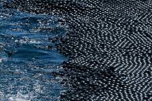 Estados Unidos lanz� 96 millones de esferas en un embalse en 2015: 10 a�os despu�s, el 'gran problema' del agua ha sido resuelto
