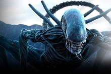 Ridley Scott (88), lo confirma: 'No quiero ni hablar de mi retirada, suena como una sentencia de muerte'