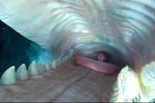 Disney deslumbra con su nueva pel�cula de terror y va arrasar en taquilla: supervivencia extrema dentro de una ballena