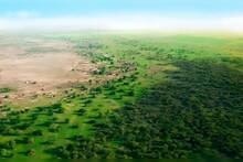 En 2021 soltaron 500 tortugas para combatir el desierto del Sáhara: tras 5 años, las cifras de la 'Gran Barrera Viva' sorprenden