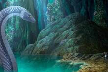 Ya es oficial: la nueva 'Solo Leveling' tropieza y no repite el fen�meno de su 'predecesora' como gran anime del a�o