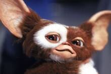Ya es oficial: la nueva pel�cula 'Gremlins 3' confirma su fecha de estreno con un nuevo vistazo a Gizmo en un tr�iler prometedor