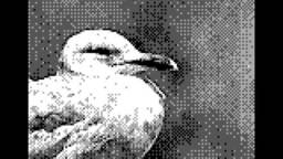 Game Boy Camera Canon 1