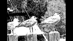 Game Boy Camera Canon 2