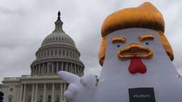 Pollo anti Trump 1