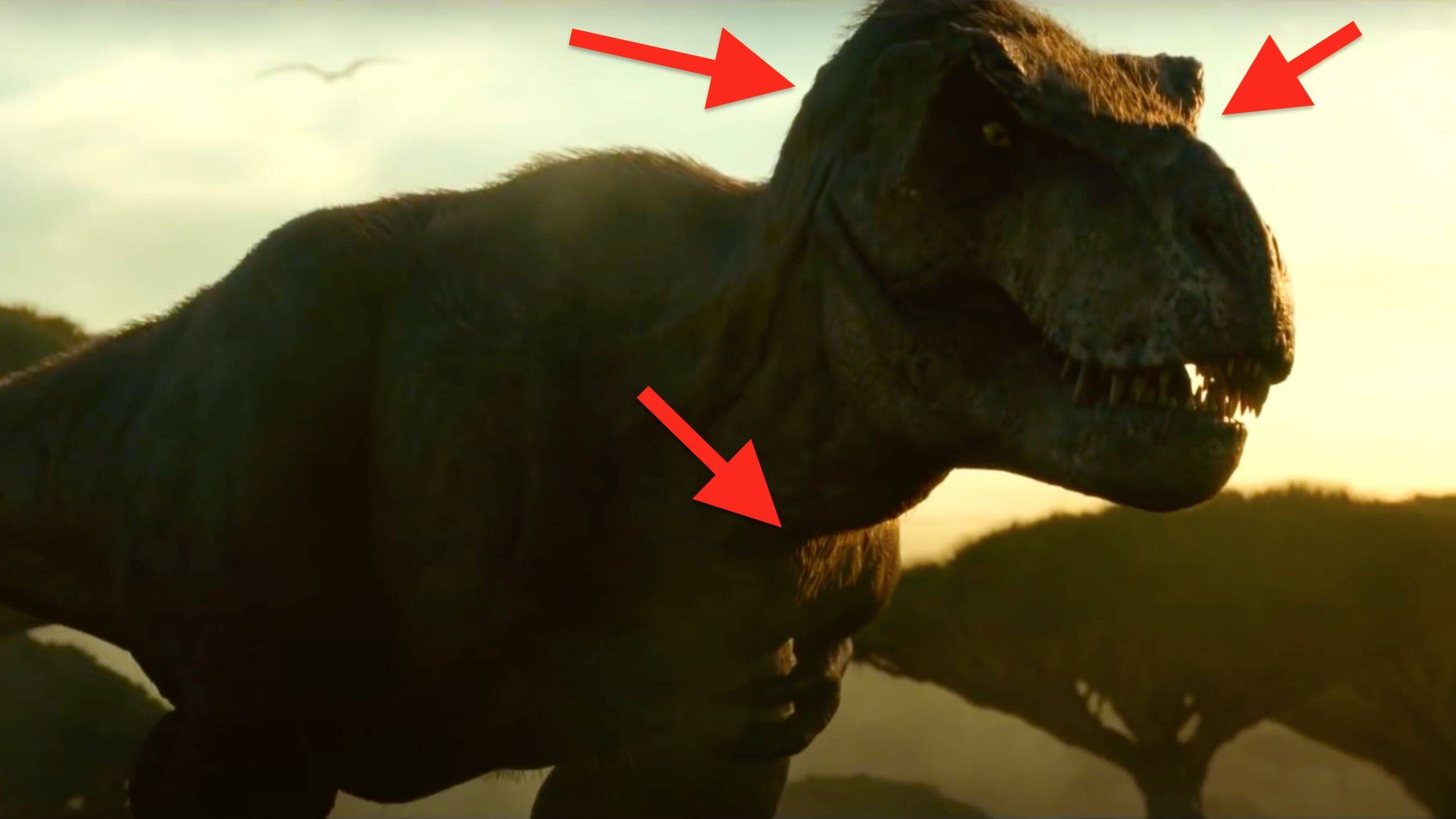enjuague Contrapartida política Jurassic World Dominion: ¿Por qué el Tiranosaurio rex tiene plumas en el  nuevo tráiler? - Vandal Random