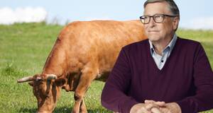 Artculo Bill Gates: 'Las naciones ricas deberan comenzar a comer carne sinttica'
