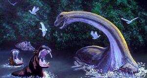 Artculo Dinosaurios vivos en frica: del Mokl-mbmb al Kasai rex